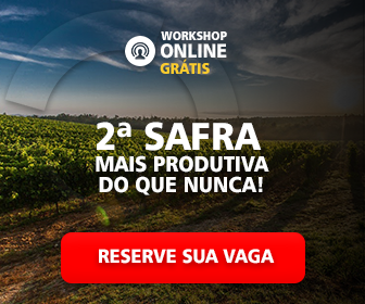 workshop segunda safra